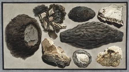 Volcanic material from Mount Vesuvius