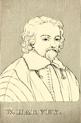 W. Harvey, 1830