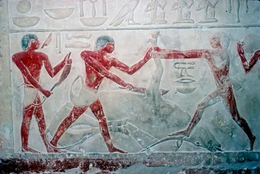 Wallpainting of 3 butchers cutting up a carcass, Tomb of Idut, 5th Dynasty, c. 2350 BC