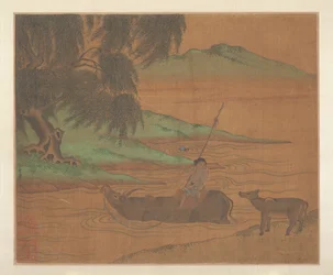 Water Buffalo