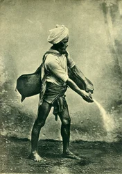 Water Carrier