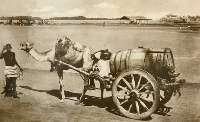 Water Cart, Aden