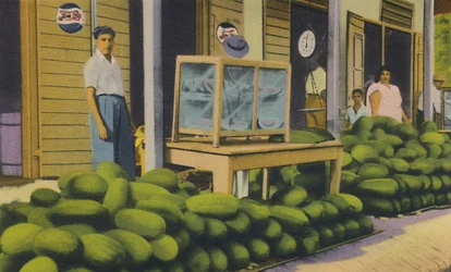 Watermelons For Sale, Trinidad, B.W.I.
