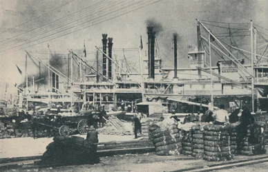 When Cotton Was Loaded, a Forest of Derricks and Smoke-stacks