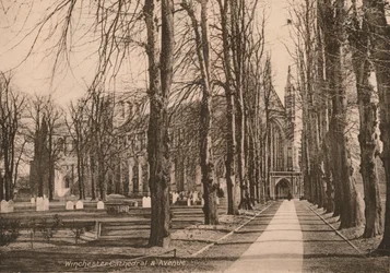 Winchester Cathedral and Avenue, Hampshire