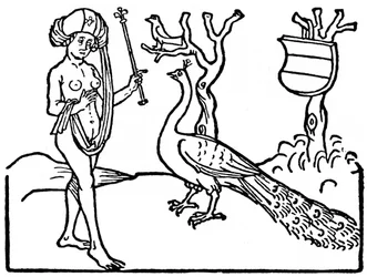 Woman and peacock, 1475, 1964.