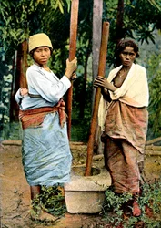 Women Pounding Rice, Madagascar