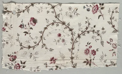Woodblock Printed Cotton Fragment