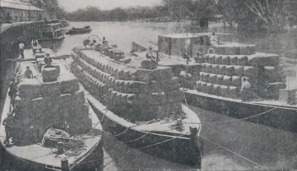 Wool Barges on the Murray River, 1923