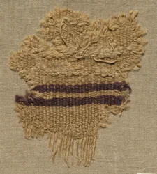 Wool Fragment