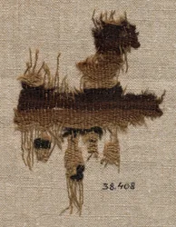 Wool Fragment