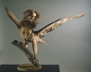 A Harpy