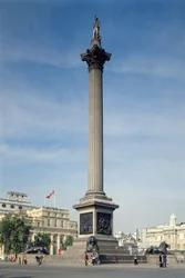 Nelson
