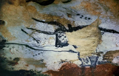 Rock Painting of a Bull with Long Horns, the Hall of Bulls