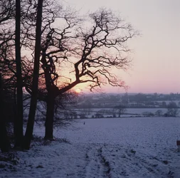 Winter Scene in the Snow, Hockley, Essex