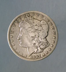 1 Dollar Coin