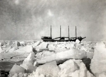 A four-masted ship sailing among the icebergs