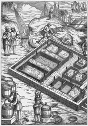A Salt Marsh in the 16th Century