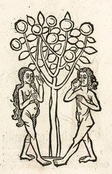 Adam and Eve under the Tree of Knowledge