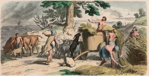 Ancient Greece: Life in the Country
