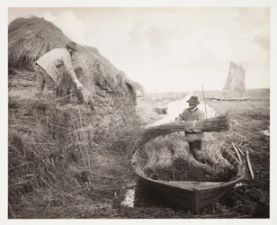 Arable Farming, Harvesting 