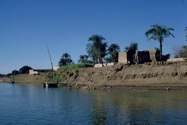 Bank of the Nile