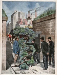 Poaching in Paris