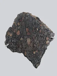Carbonee chondrite (CBA). Fell in Gujba (Nigeria) in 1984. National Museum of Natural History, Paris.