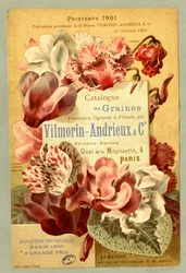 Seed Catalogue