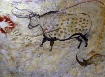 Cave paintings found in the Cave of Altamira
