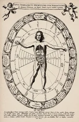 Correspondence between Microcosm and Macrocosm. Plate taken from 