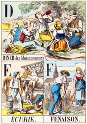 D E F: Diner des Moissonneurs, Ecurie, Fenaison - 