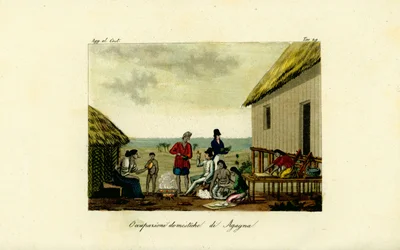 Domestic Occupations of the Chamorro Women of Agana, Guam