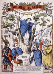 Druids picking mistletoe