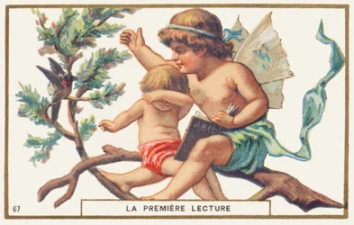 First reading, white background. Advertising chromolithography depicting two children sitting on a branch. The largest, with wings in the back (an angel?) holds an abecedary open in one hand; with his other hand he wants to hunt a bird that bothers the lec