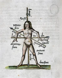 Geography 16th Century: Human Figure Representing Longitudes and Latitudes, His Body Traversed by Lances Oriented According to the Angles of Imaginary Lines