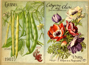Seeds