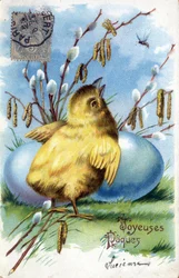 Greeting Card for Easter: a chick and eggs