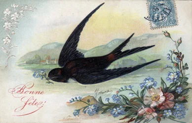 Happy Birthcard: Swallow bringing a flower
