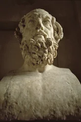 Head of Homer