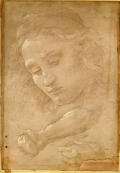 Head of a Youth, Drawing from a Page of 