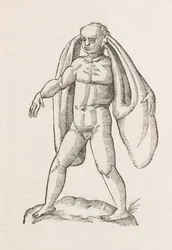 Homo fanesius auritus