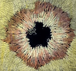 Illustration of a Sunspot