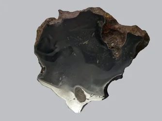 Iron meteorite (IAB). Found in Canyon Diablo (USA) in 1891. National Museum of Natural History, Paris.