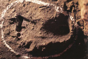 Footprints of Prehistoric Hunter