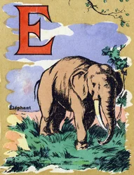 Letter E like an Elephant. Illustrated Alphabet. Imageries Reunited in Jarville-Nancy, Beginning of the 20th Century