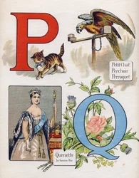 Letter P and Q: little cat, perch, parrot and quenet, the right fee. Engraving in "ABC L