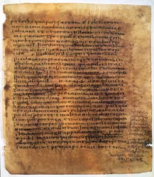 Manuscript scroll: a palimpseste