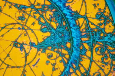 Aluminium Bronze, Light Micrograph