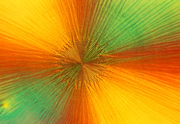 Micrographs (Light) Ascorbic acid, light micrograph